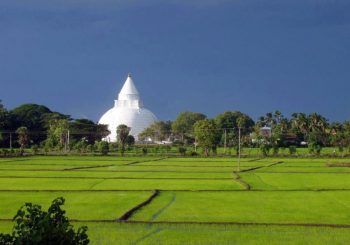 Welcome to Sri Lanka